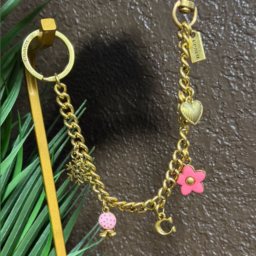 Coach chain